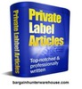 Thumbnail 1175 Secret, Spy, Encryption PLR Reports 