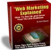 Thumbnail Web Marketing Explained by 40 successful internet experts