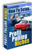 Thumbnail How To Setup Profit Pulling Niches 