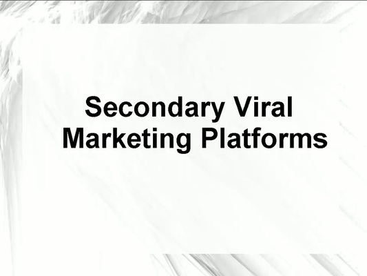 Product picture Promote a business with Secondary Viral Marketing Platforms