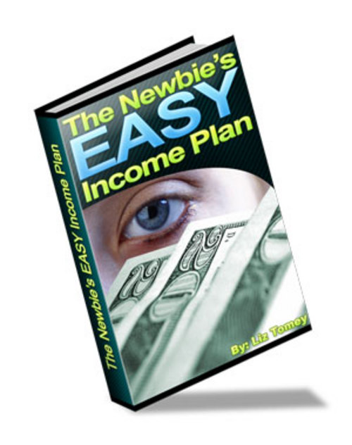 Product picture The Newbies EASY Income Plan + 25 FREE Reports