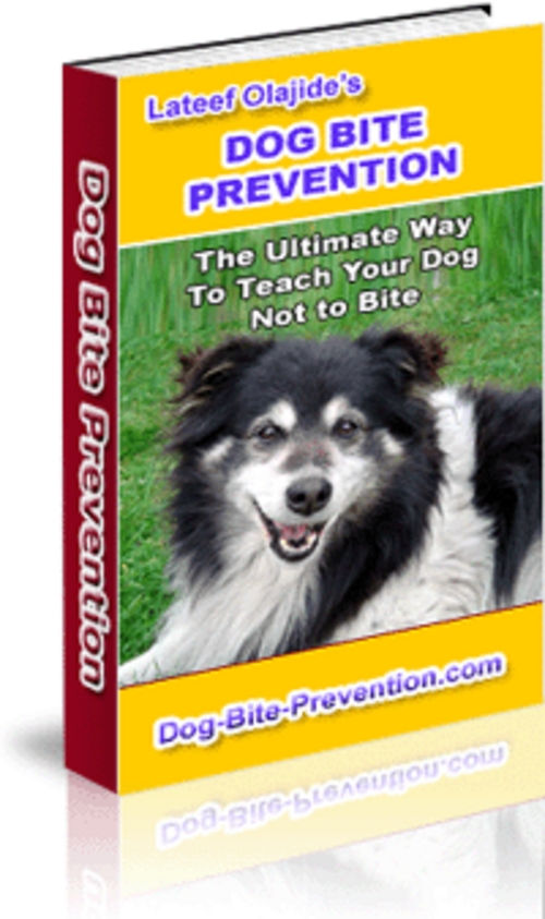 Product picture Dog Bite Prevention + 25 FREE Reports ( Bargain Hunter Warehouse )