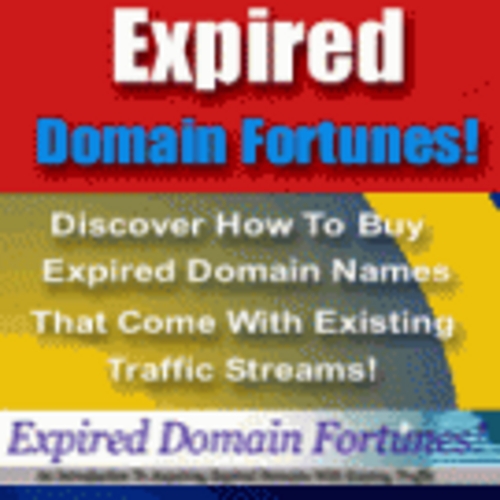 Product picture Expired Domains Fortunes -  Expired Domains with Traffic - FREE PREVIEW + 25 FREE Reports ( Bargain Hunter Warehouse )  .pdf