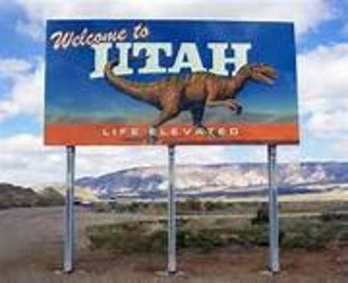 Product picture 13 Utah PLR Articles