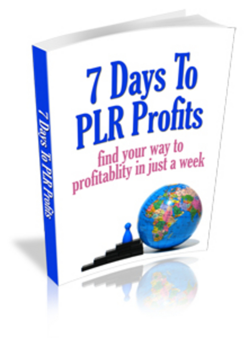 Product picture 7 Days To PLR Profits ( Bargain Hunter Warehouse )
