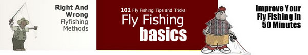 Product picture 101 Fly Fishing Tips For Beginners BARGAIN HUNTER WAREHOUSE