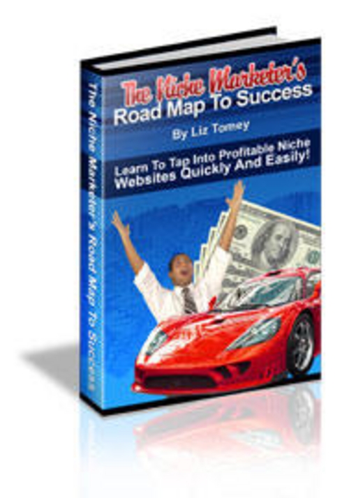 Product picture The Niche Marketer&acute;s Road Map To Success + 25 FREE Reports ( Bargain Hunter Warehouse )