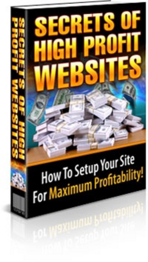 Product picture *NEW!* Secrets Of High Profit Websites  BUY ONE GET ONE FREE