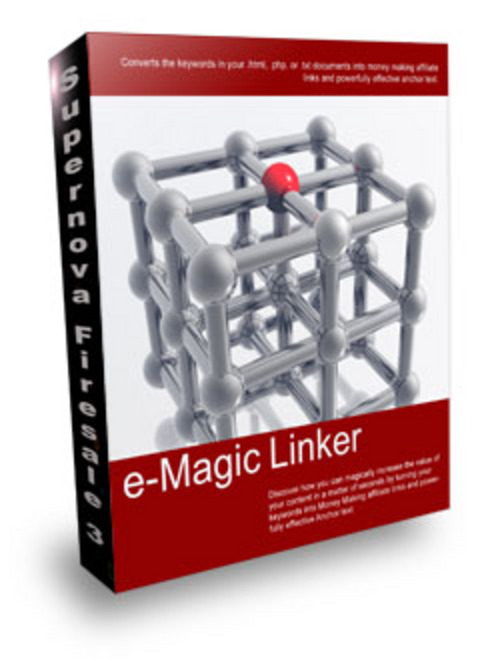Product picture e Magic Linker + 25 FREE Reports ( Bargain Hunter Warehouse )