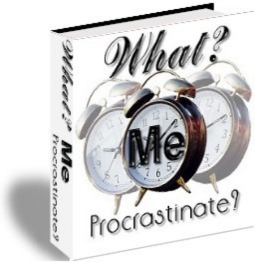 Product picture What Me? Procrastinate? + 25 FREE Reports ( Bargain Hunter Warehouse )