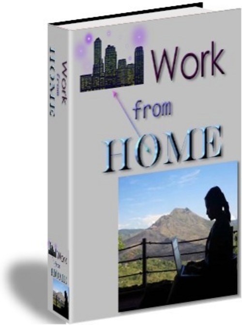 Product picture Work From Home + 25 FREE Reports ( Bargain Hunter Warehouse )