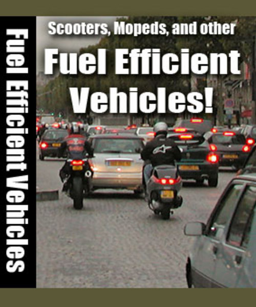 Product picture Fuel Efficient Vehicles + 25 FREE Reports ( Bargain Hunter Warehouse )