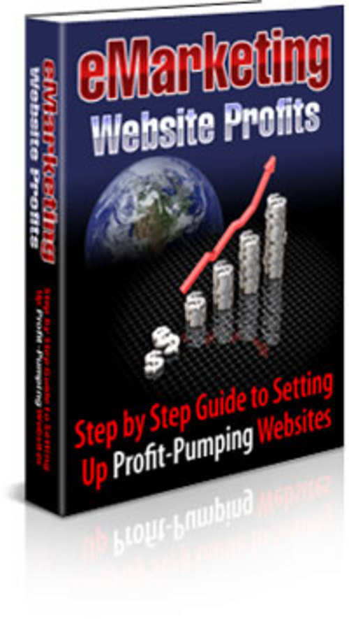 Product picture  E Marketing Website Profits  - Step by Step guide to profitable websites.