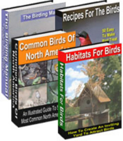 Product picture Birding For Everyone + 25 FREE Reports ( Bargain Hunter Warehouse )