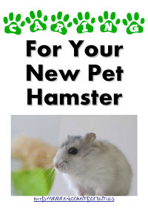 Product picture Caring For Your New Pet Hamster + 25 FREE Reports ( Bargain Hunter Warehouse )