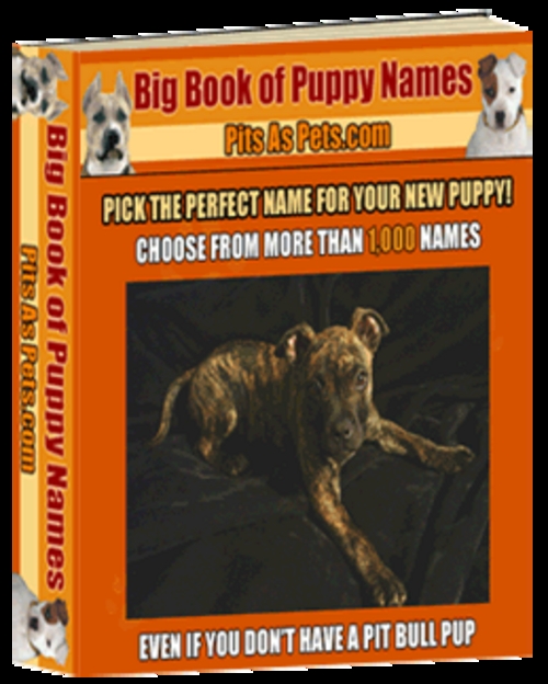 Product picture BIG Book of Puppy Names ( Bargain Hunter Warehouse )