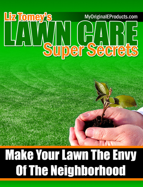 Product picture LAWN CARE Super Secrets ( Bargain Hunter Warehouse )