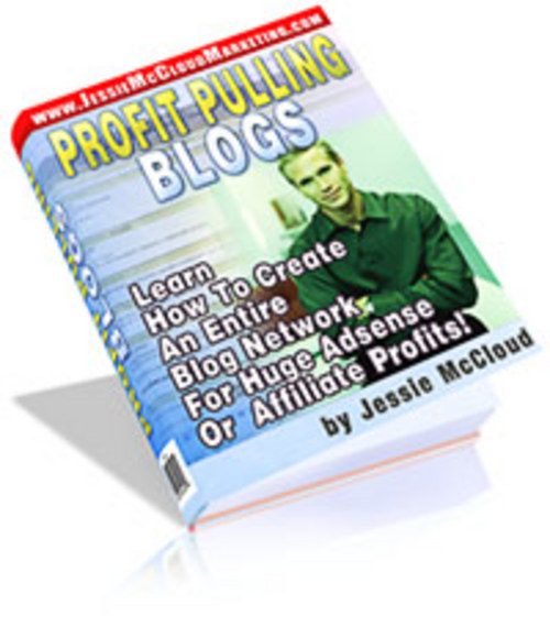 Product picture Profit Pulling Blogs + 25 FREE Reports ( Bargain Hunter Warehouse )
