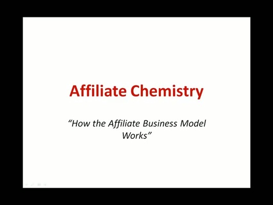 Product picture Affiliate Marketing Secrets Revealed.
