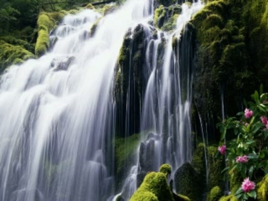 Product picture Connect your Filezilla software to your Hosting Account. #8