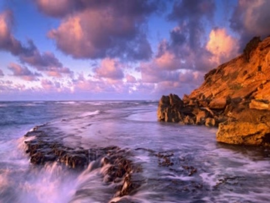 Product picture Edit Live Files while they are still on your Server. #11